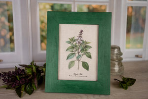 Solid Color Picture Frame - Handmade Wood - Hand Painted - Gallery Wall Frames
